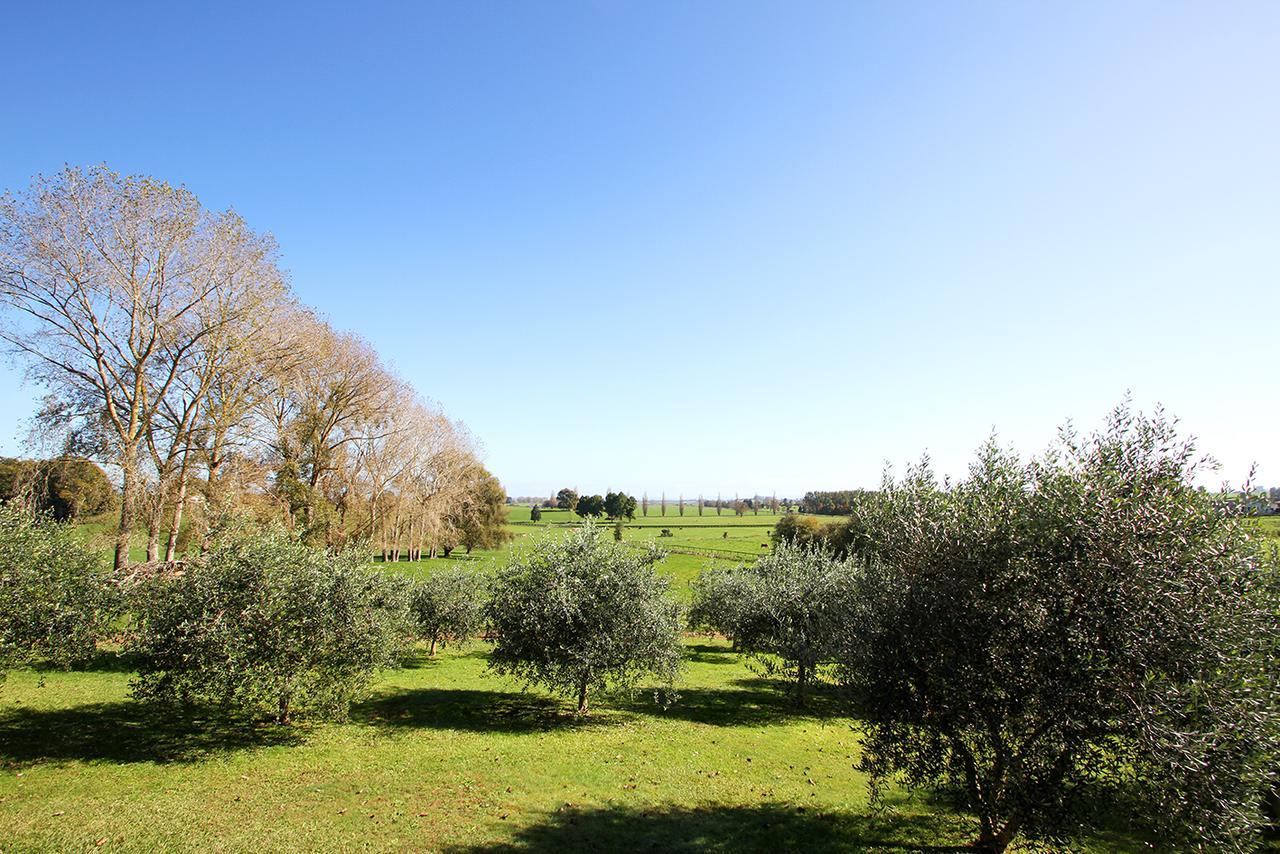 Ohaupo Olives Bed and Breakfast Exteriör bild